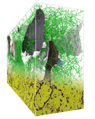Bild: TU Darmstadt - Metalle an der Grenze der Verformbarkeit