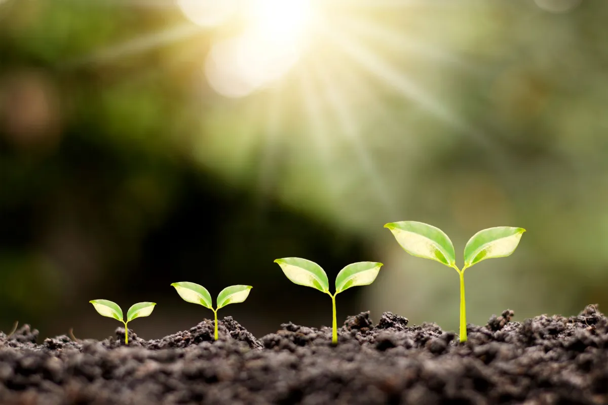 Mit Corporate Coaching ESG-Ziele erreichen (© MEE KO DONG/Shutterstock)