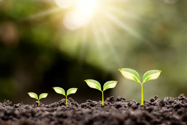 Wie Corporate Coaching Unternehmen helfen kann, ESG-Ziele zu erreichen Bild: Wie Corporate Coaching Unternehmen helfen kann, ESG-Ziele zu erreichen