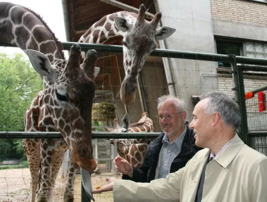 Bild: VRS-Familientage am kommenden Wochenende im Kölner Zoo. Volle Unterhaltung zum halben Eintrittspreis.
