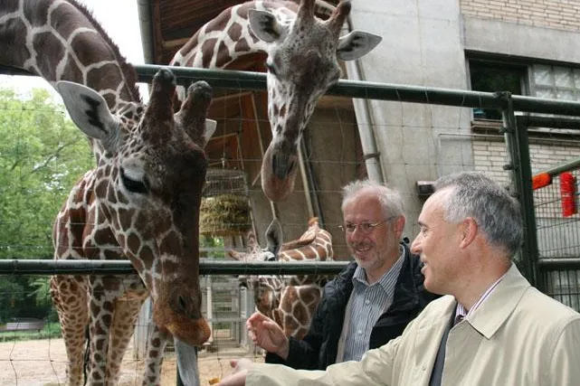 Bild: VRS-Familientage am kommenden Wochenende im Kölner Zoo. Volle Unterhaltung zum halben Eintrittspreis.