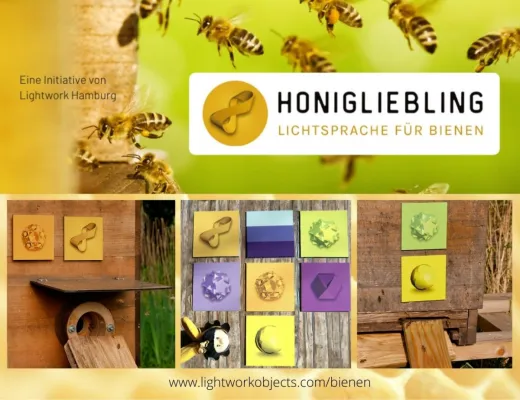 Bild: Energie und Spirit für die Bienenhaltung in 2021