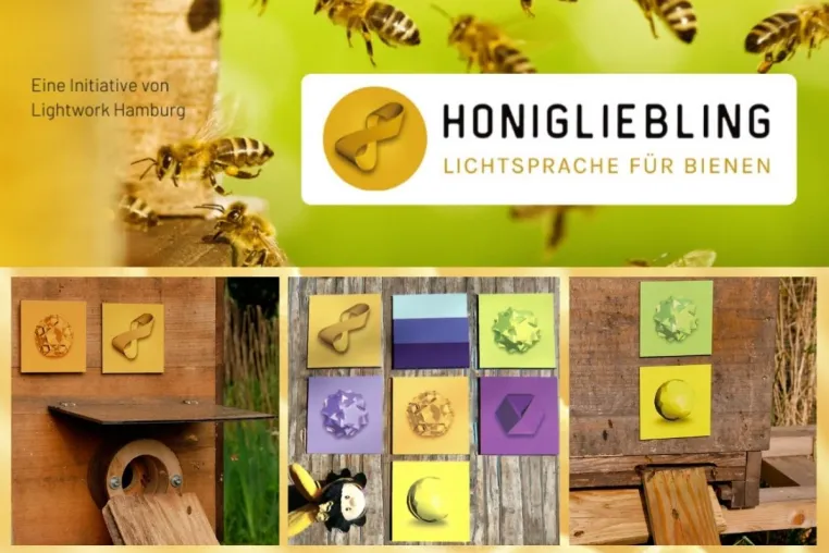 Bild: Energie und Spirit für die Bienenhaltung in 2021