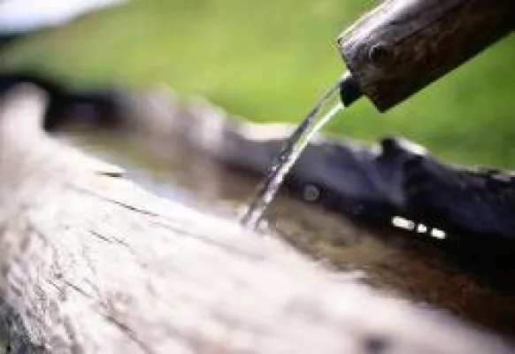 Bild: Familienspass pur & die wahrscheinlich längste Rodelbahn der Welt