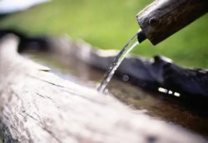 Bild: Familienspass pur & die wahrscheinlich längste Rodelbahn der Welt