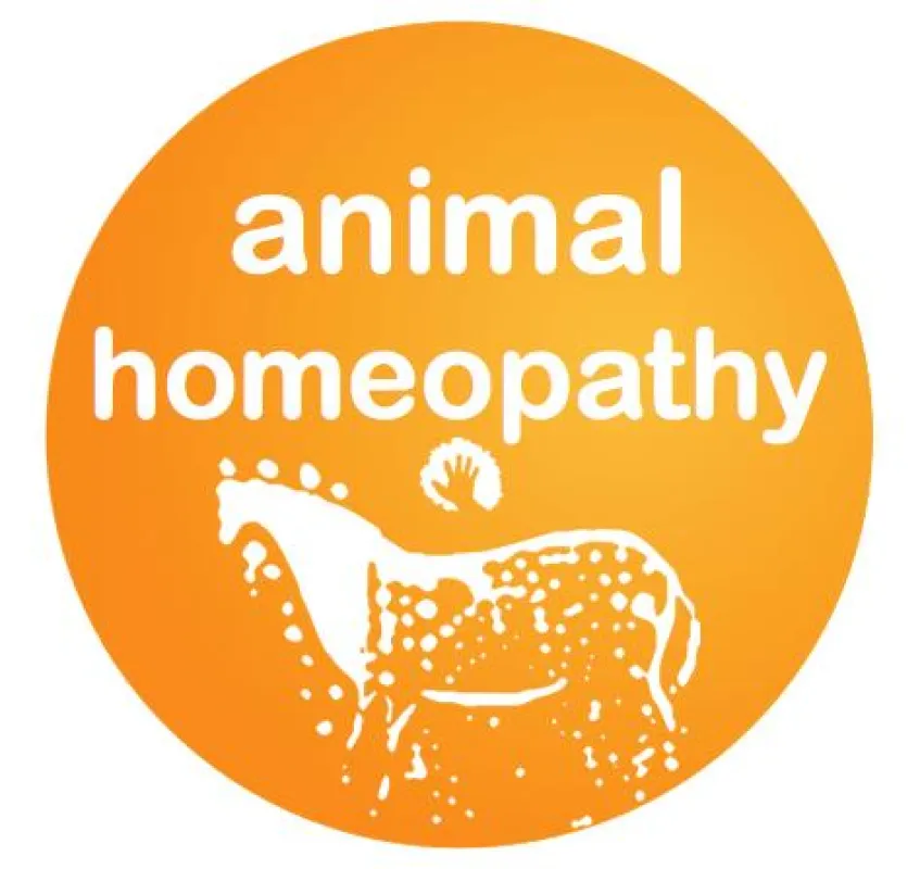 Tierhomöopathie
