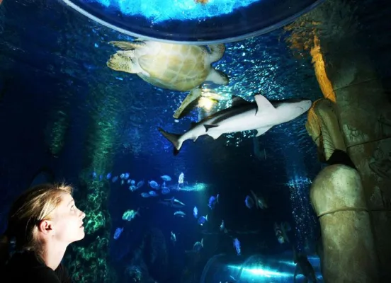 Bild: Die Welt gehört in Kinderhände - große Umweltkonferenz in Berlin