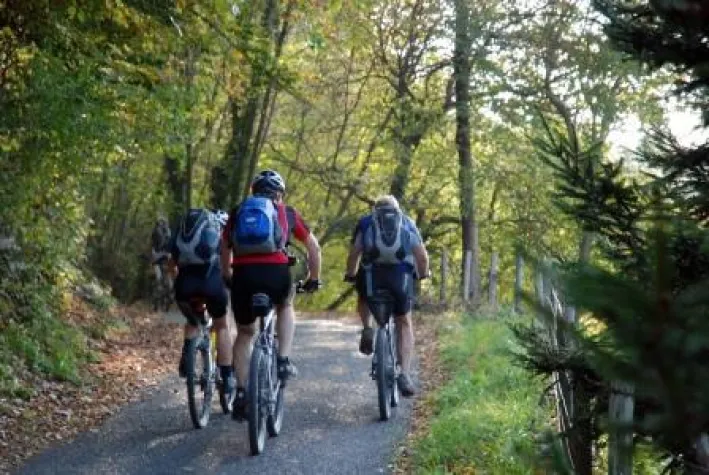 Bild: Raus in die Natur: Radfahren im Frühling