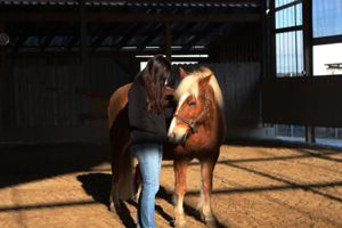 Seminarteilnehmerin im Kontakt mit den Co-Trainer Pferd