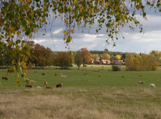 Bild: Entwicklungs-Konzept für die Kommune Märkische Heide im Unterspreewald