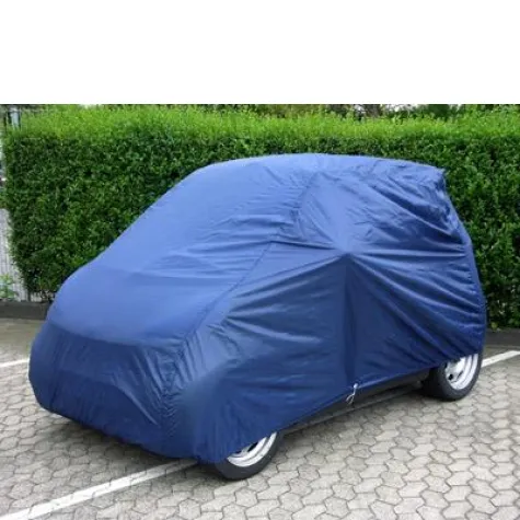 Bild: Komfortabeler Start in den Tag ohne zugefrohrene Scheiben mit Ihrem Smart