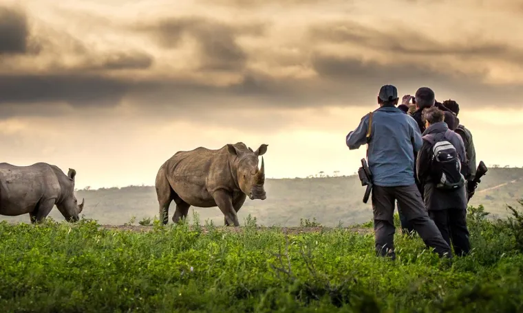 Bild: Elela Africa unter den TOP 10 Safari Erlebnissen
