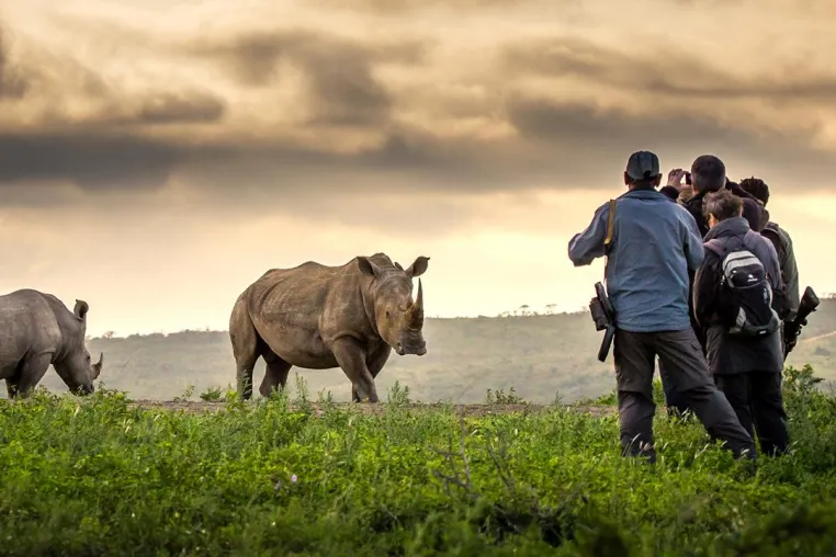 Bild: Elela Africa unter den TOP 10 Safari Erlebnissen