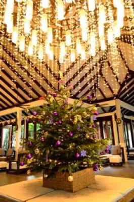 Bild: Sommerliche Temperaturen — Weihnachten mit Atmosphere Hotels & Resorts feiern