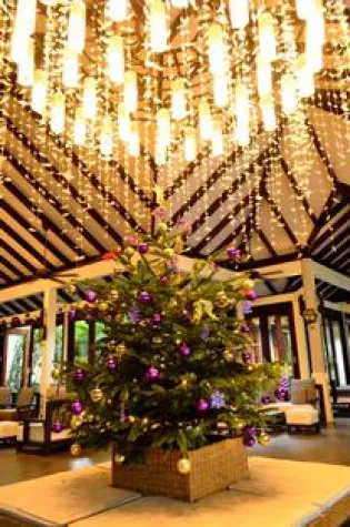 Bild: Sommerliche Temperaturen — Weihnachten mit Atmosphere Hotels & Resorts feiern