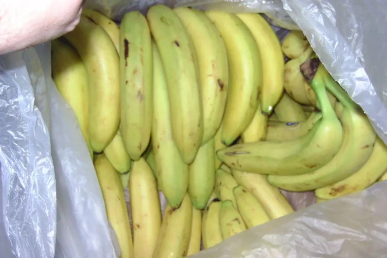 Bild: Bananenwein: Sonderedition ausverkauft, Österreich Juli 2019