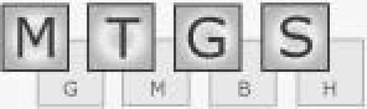 www.mtgs.de