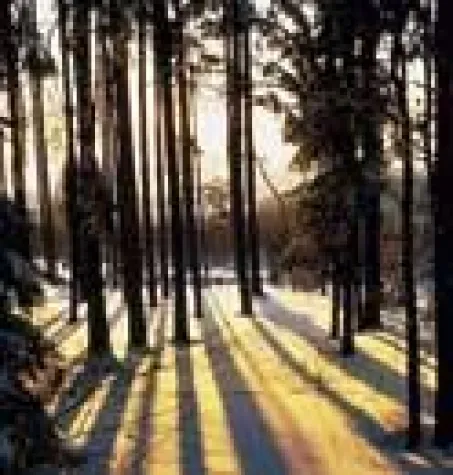 Bild: Wanderurlaub im Bayerischen Wald wandern am Goldsteig