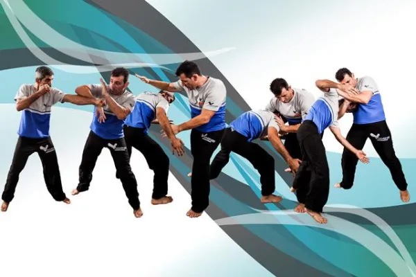 Bild: Wing Revolution Lehrgang mit der Bewegungsakademie Gelnhausen in der Fit und Sicher Akademie Fuldtal