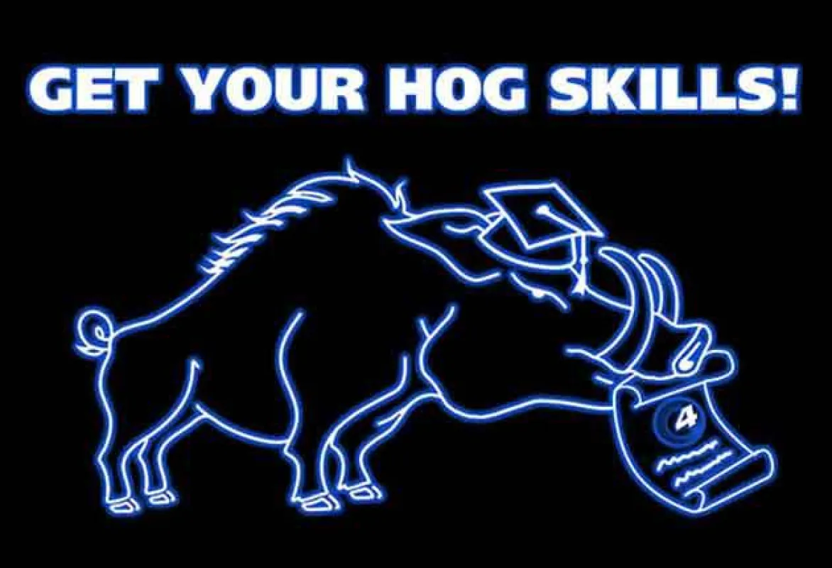 Logo der Hog 4 Trainings (Foto: LMP)