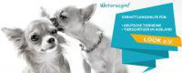 Bild: Look e.V. Tierschutzverein: der Tierschutzverein für Patenschaften und Spenden aus Hamburg und München