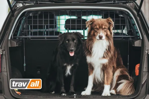 Bild: Fahrzeugspezifische Hundegitter für Elektroautos