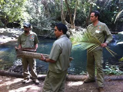 Bild: Mit der Gondel über Regenwald schweben und mit Aborigines die tropische Flora erkunden