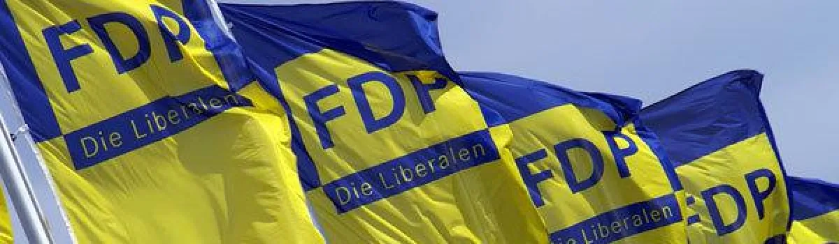 FDP Fahnen