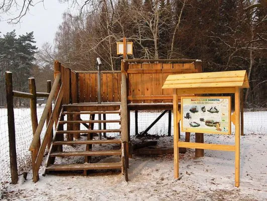 Bonner Weg der Artenvielfalt: Deutsche Reihenhaus spendet Seh- und Taststation Bild: Bonner Weg der Artenvielfalt: Deutsche Reihenhaus spendet Seh- und Taststation