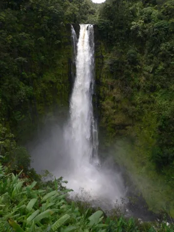 Bild: Praxiseröffnung in der \"Heil-Insel\" Lindau in Lindau am Bodensee mit der Dorn-Methode, Meditation und Yoga