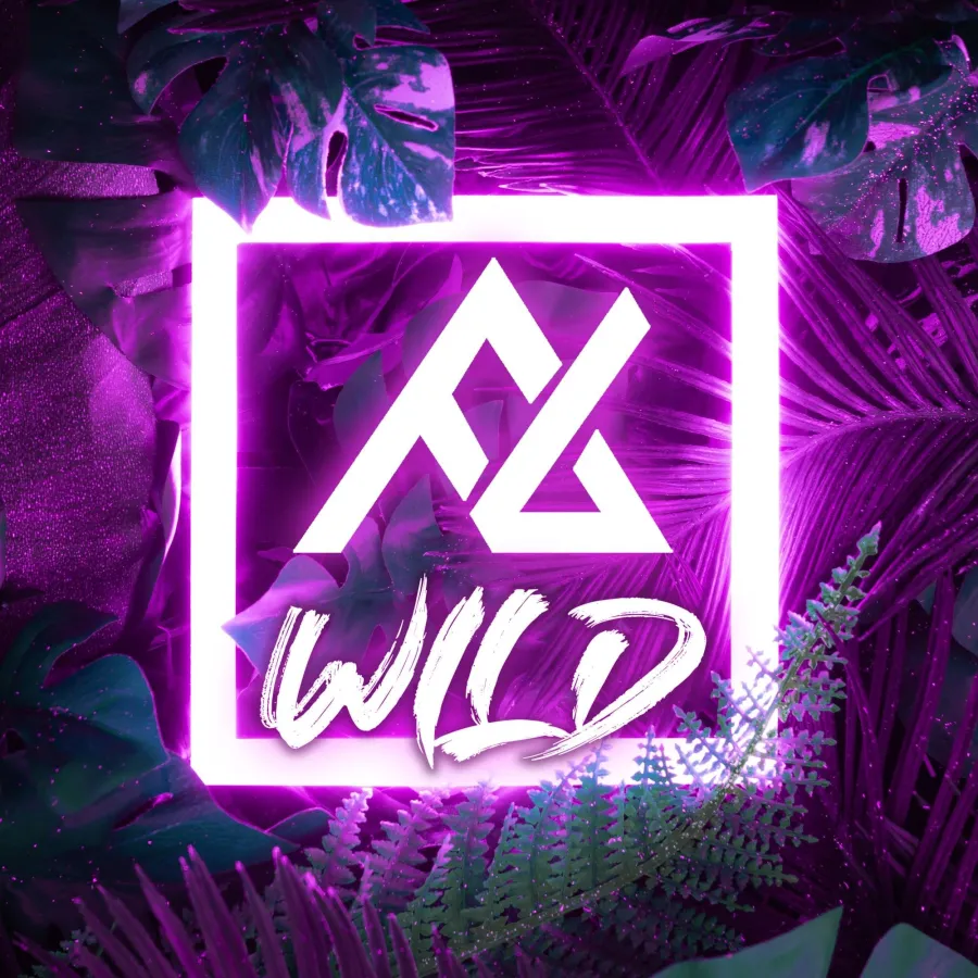 Frankybeats feat. Brando - Wild