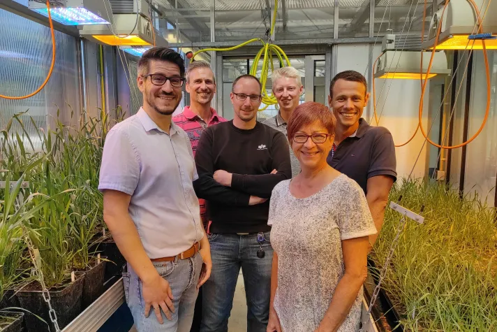 Bild: Wenige Daten, viel Erkenntnis: Hochschule Bielefeld entwickelt KI-Anwendungen für Small Data