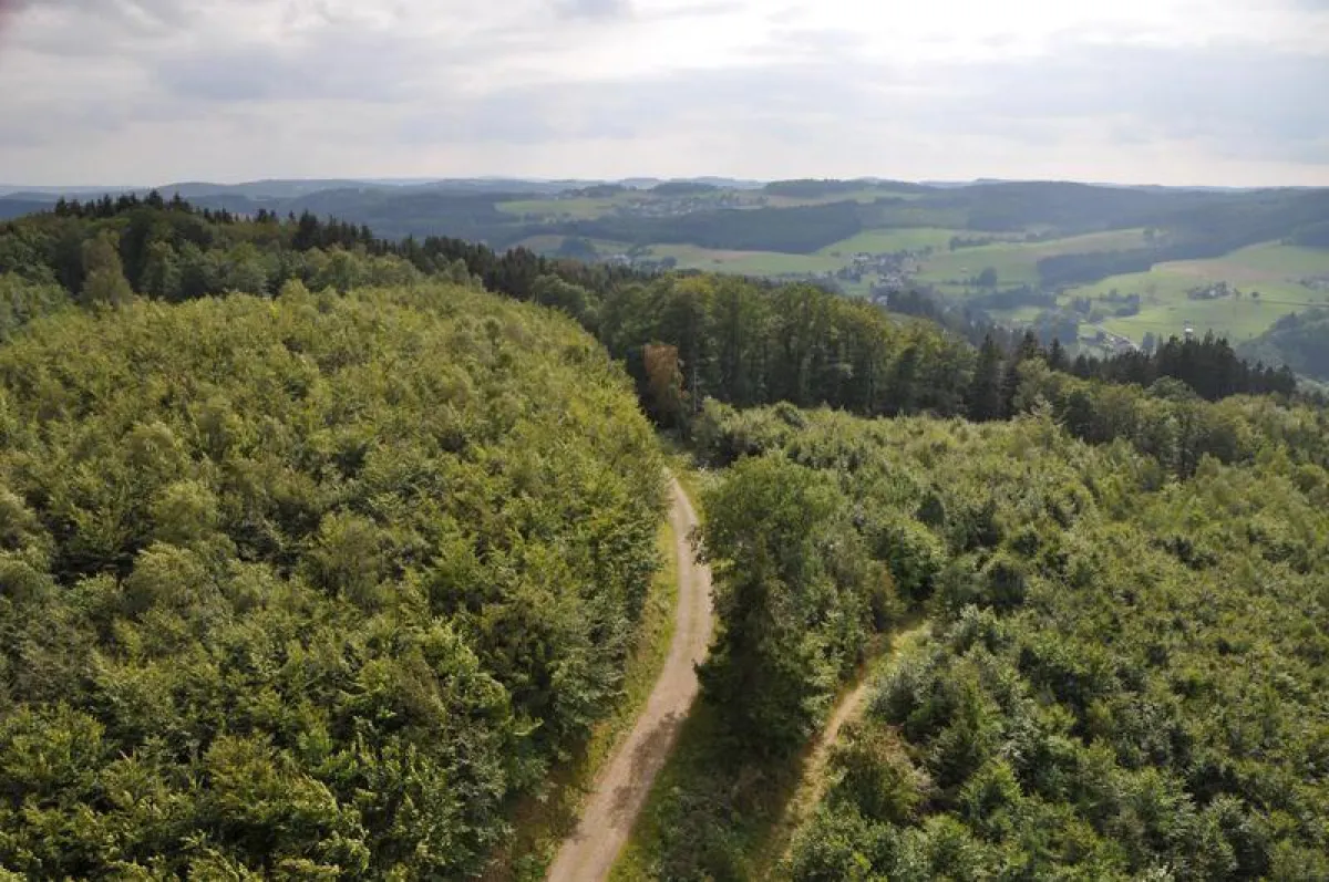Blick vom Morsbacher Aussichtsturm
