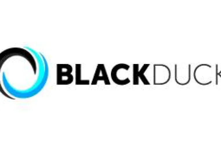 Bild: 3...2...1...Whitepaper – Die Black Duck Suite 6.5