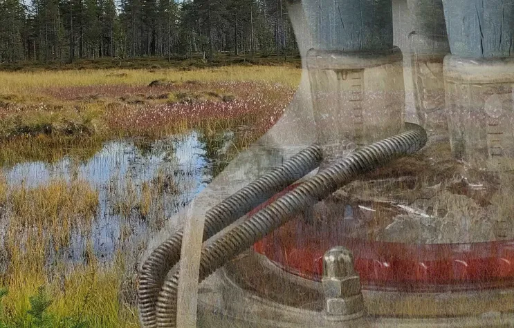 Bild: Mikroben können ihren Bedarf an Nickel senken