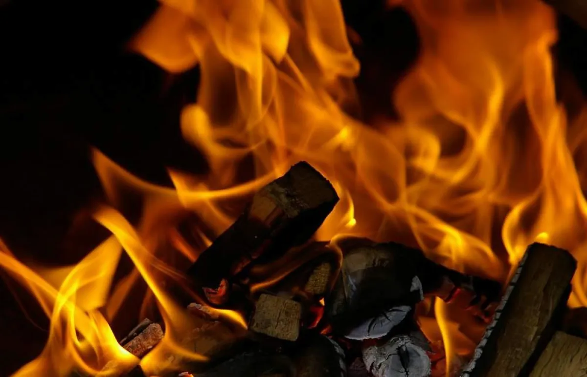Wer sich vor Dioxin schützen will, sollte auf Fleisch vom Grill verzichten. Oder mit Zinnkraut und Bärlauch wieder entgiften ...