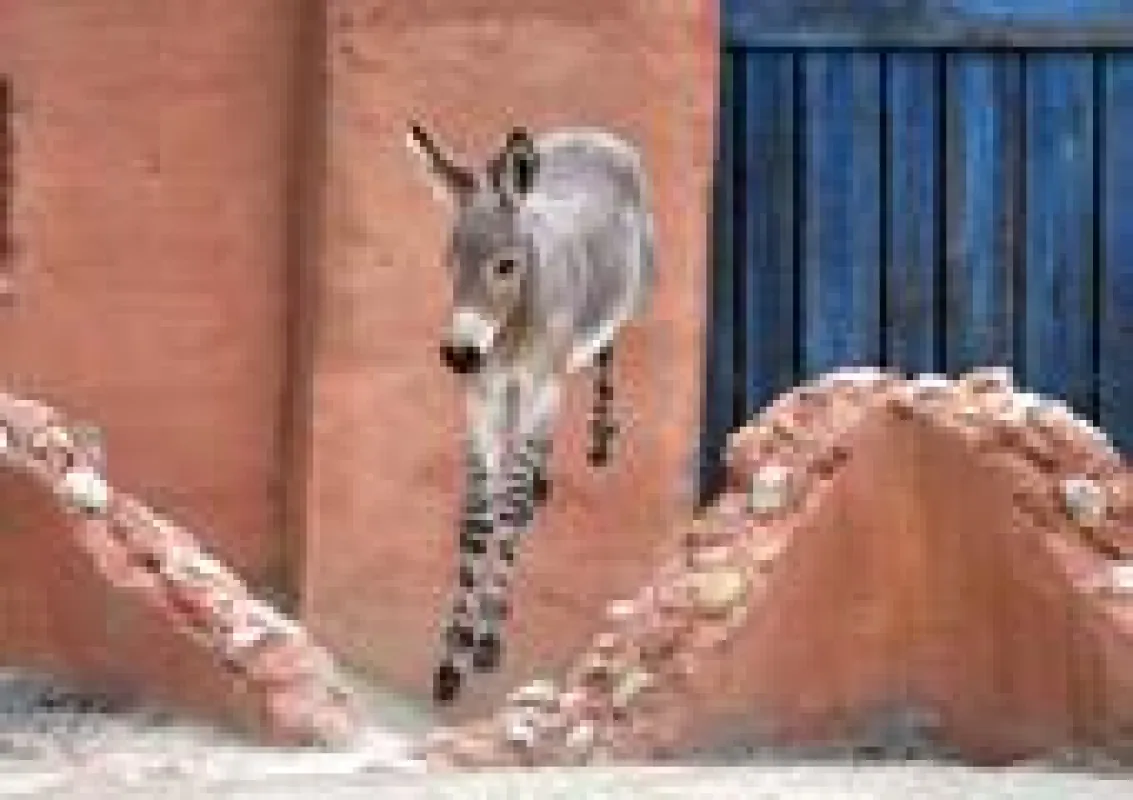 Wildeselchen Derrick erobert die Wüstenanlage