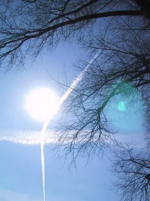 Bild: Flugangst Ade durch Wingwave®