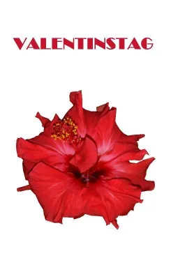 Bild: Am 14. Februar ist Valentinstag – der Tag der Liebe und der Beautiful Energies