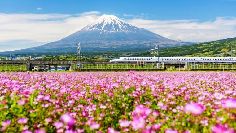 Bild: 30% mehr Zugreservierungen in Japan für das kommende Frühjahr