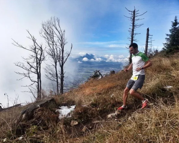 Bild: Über Stock und Stein