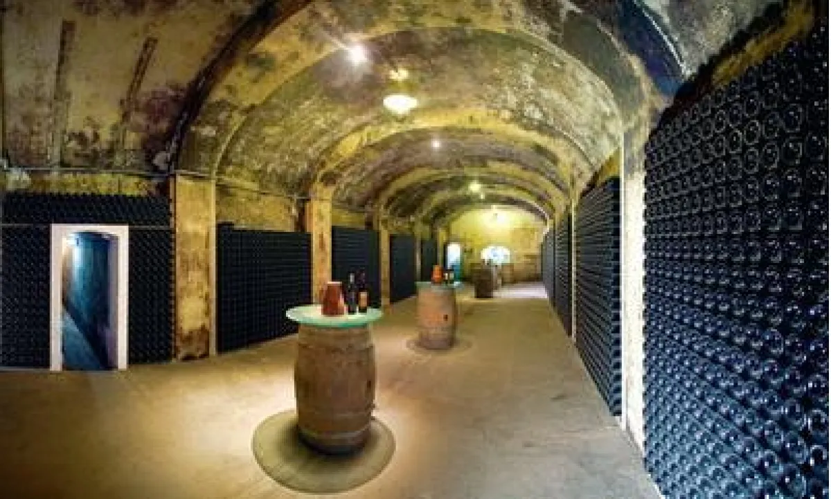 Wein Mallorca - Bodega José Luis Ferrer