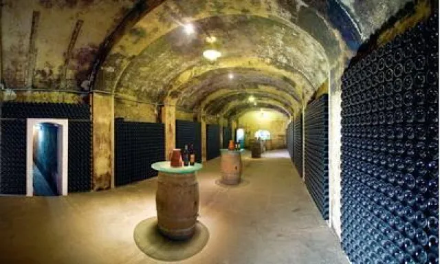 Bild: Mallorca Wein - Bodega José Luis Ferrer - Die größte Bodega der Insel