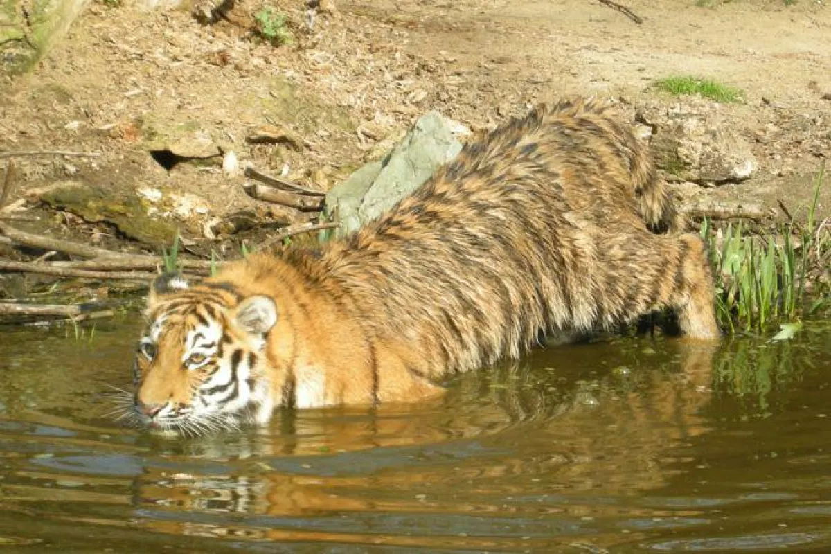 Freizeitspaß im Zoo