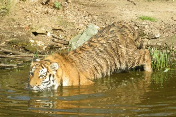 Bild: Sommerferien auf Balkonien – so fällt der Spaß nicht ins Wasser