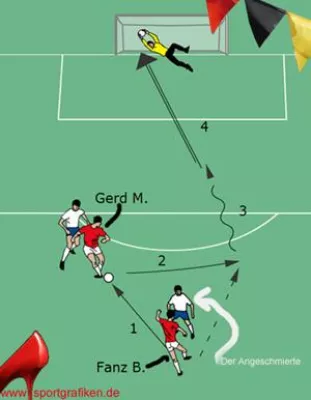 Bild: Doppelpass frisch erklärt zur WM 2010