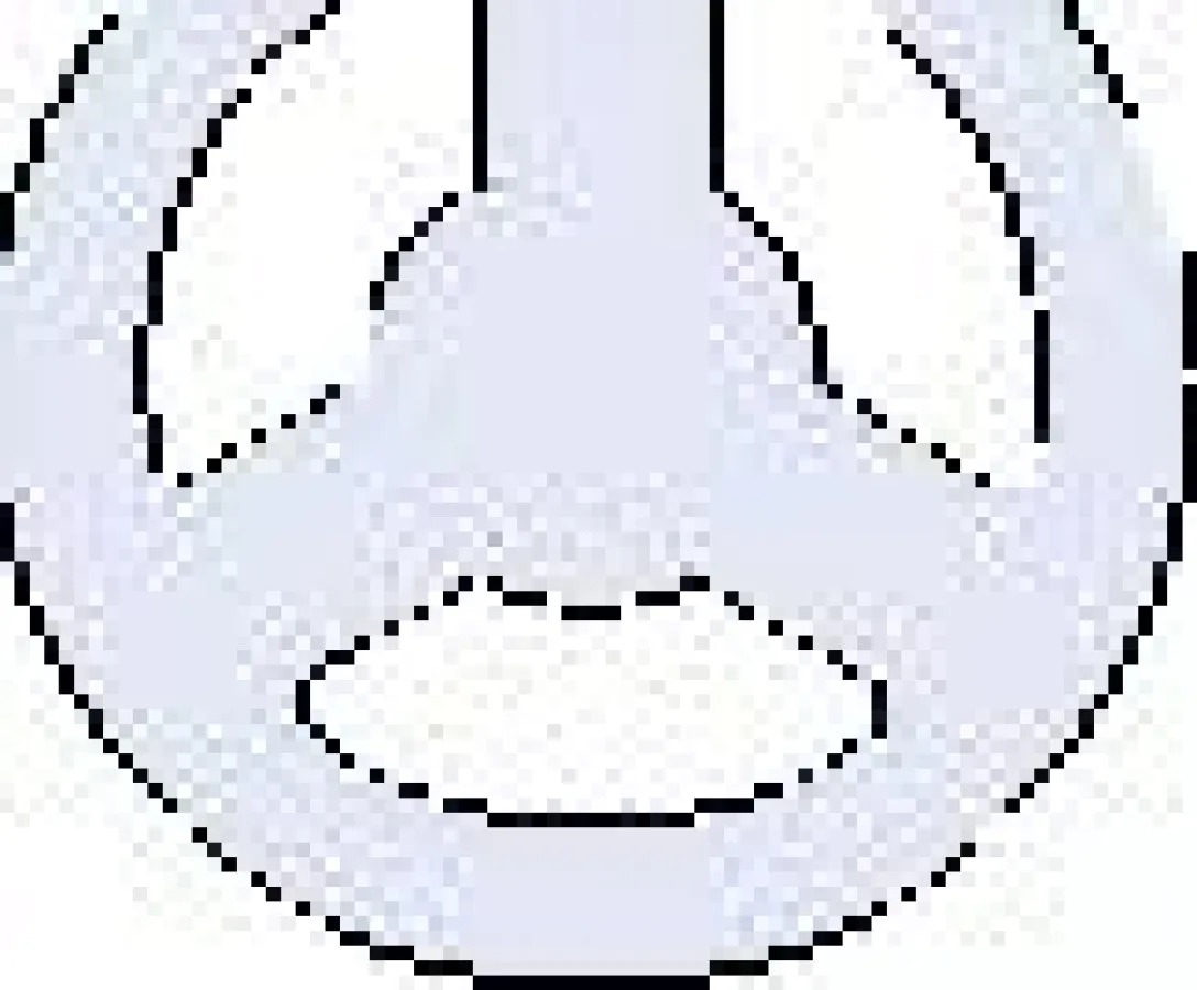 Logo der Firma css-software