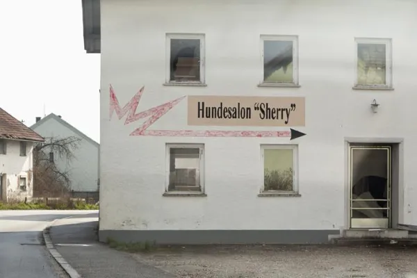 Bild: Baumarktidylle im Kunstverein Wolfsburg