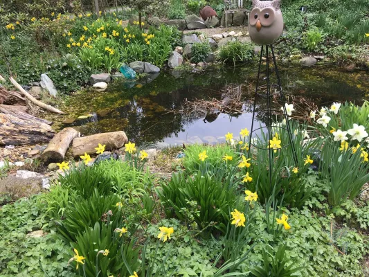 Bild: Online-Kurs:  „Naturnah Gärtnern für Familien - Grüner Lifestyle für kleine Gärten“ 