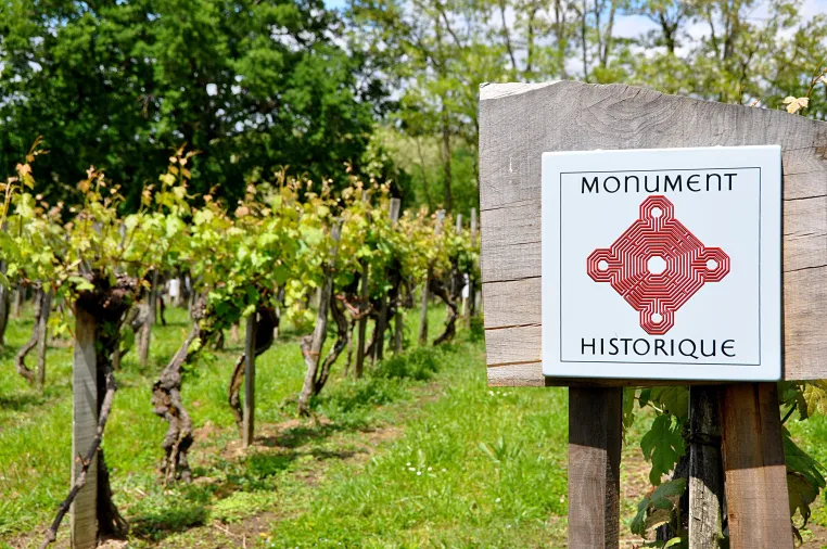 Alte Rebe, ausgezeichnete Weine: Zwei Cuvées von Plaimont tragen das Siegel des Old Vine Registry Bild: Alte Rebe, ausgezeichnete Weine: Zwei Cuvées von Plaimont tragen das Siegel des Old Vine Registry